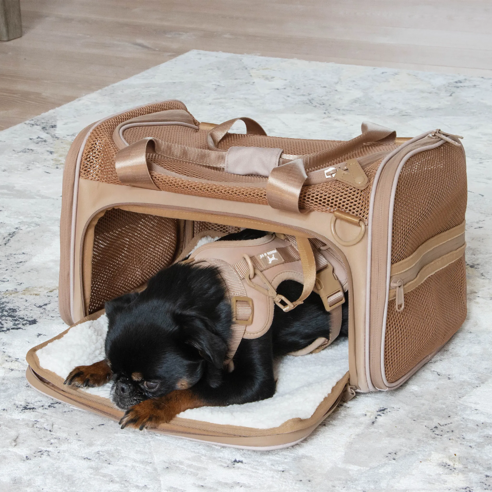 Airline Approved Travel Pet Carrier