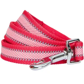 Back to Basics Reflective Dog Leash