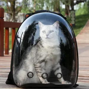 Breatheable Transparent Cat Backpack