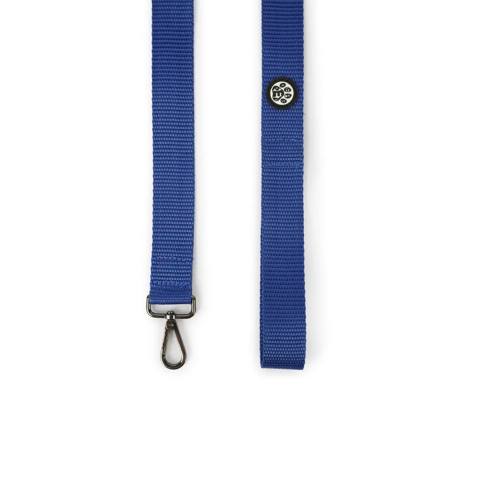 Dear Pet Nylon Dog Collar-Leash Set in Blue