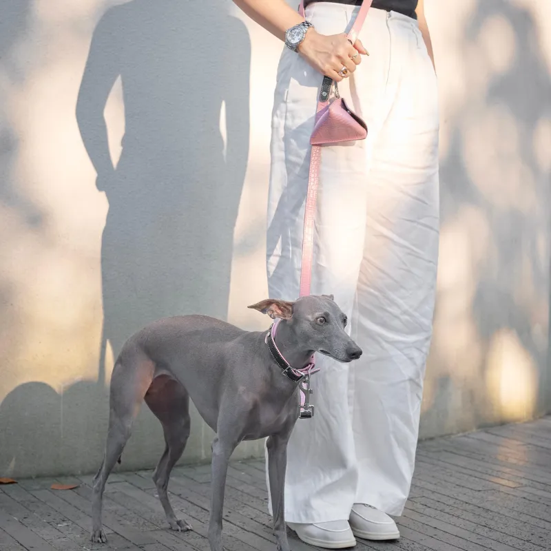 Flamingo Hands-Free Dog Leash