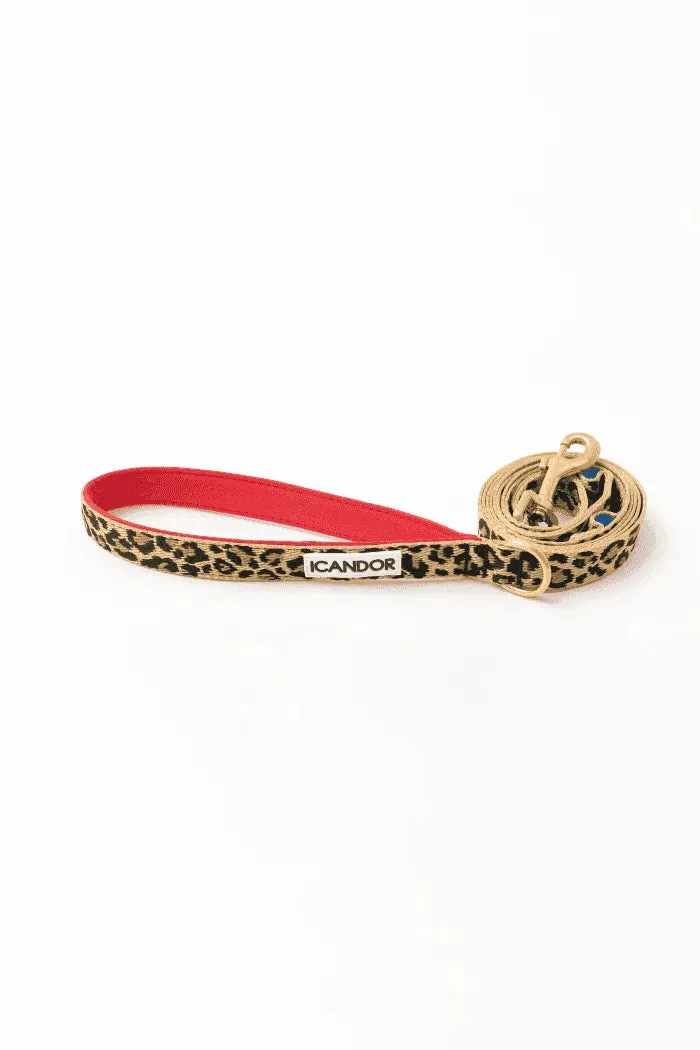 Gentle 2-Handle Dog Leash - Leopard