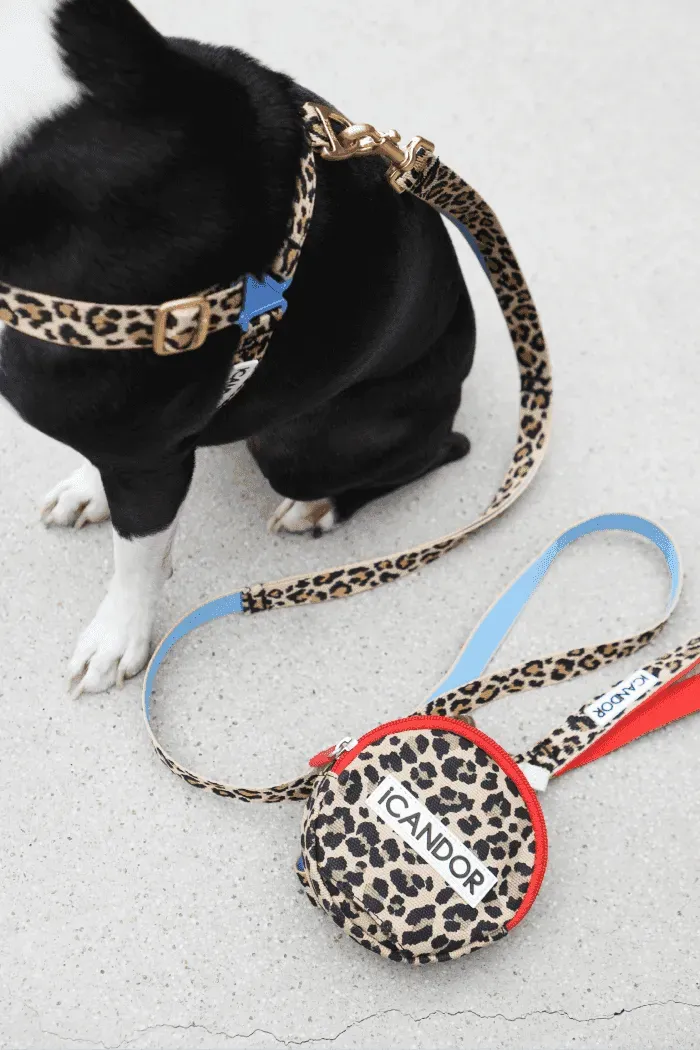 Gentle 2-Handle Dog Leash - Leopard