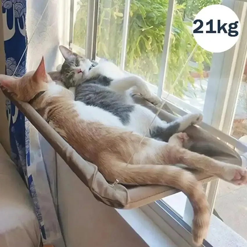 Hangout Cat Hammock