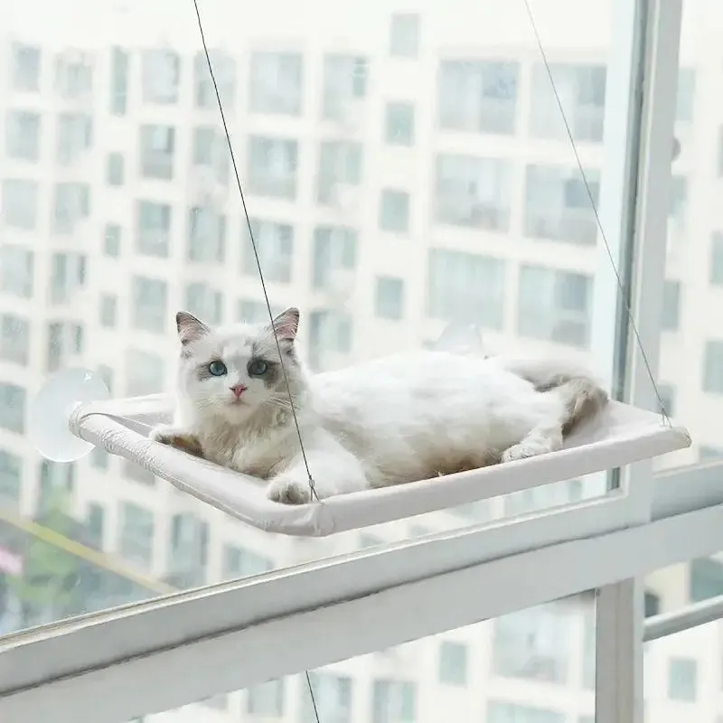 Hangout Cat Hammock