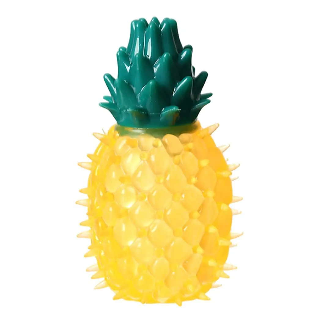 Interactive Fruit Lemon and Pineapple chew toy