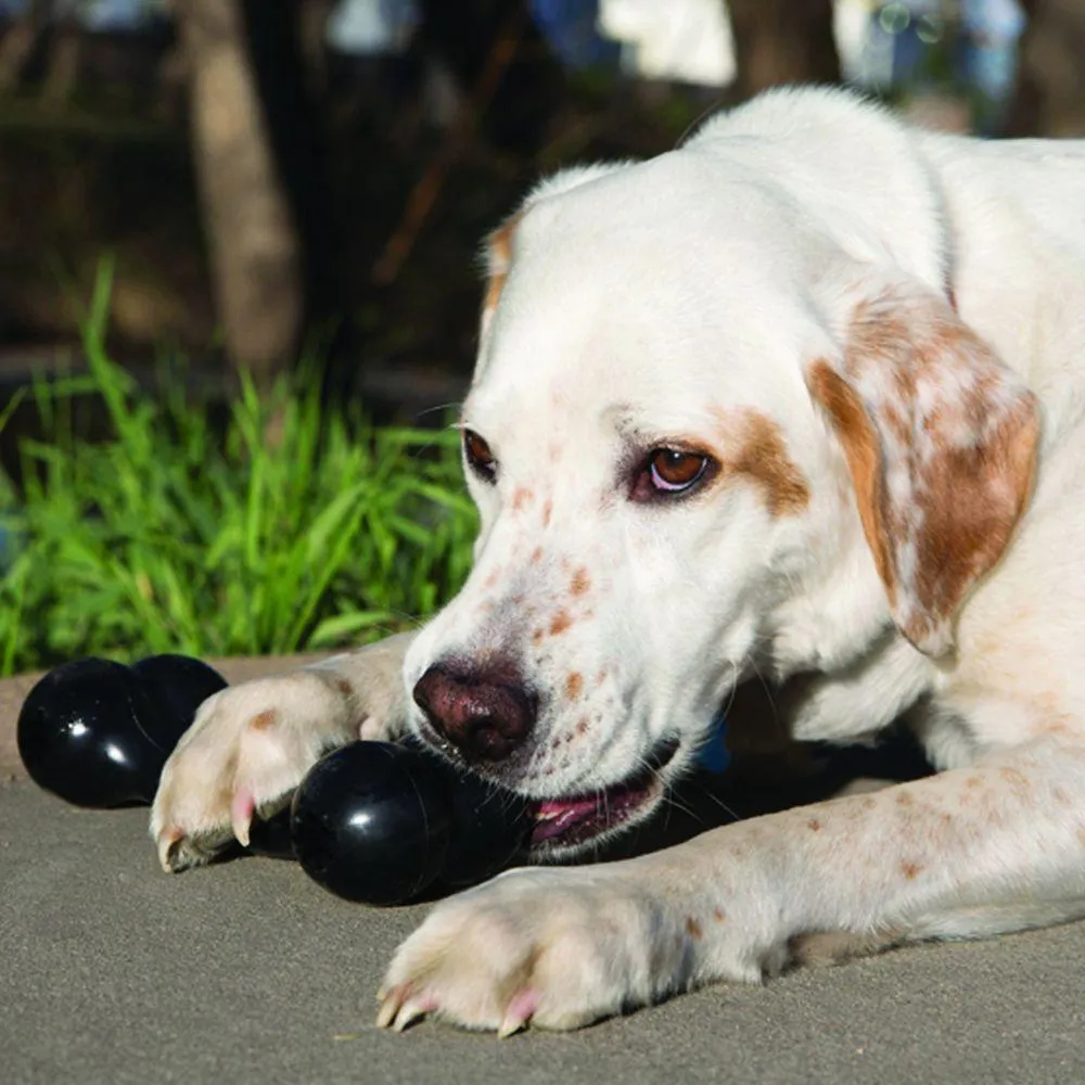 KONG Puppy Goodie Bone Dog Toy (Small)