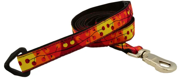 Leash - 6ft Long - 3/4" Wide