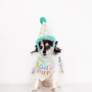 Pearhead Birthday Pup Small / Medium Bandana & Hat Set