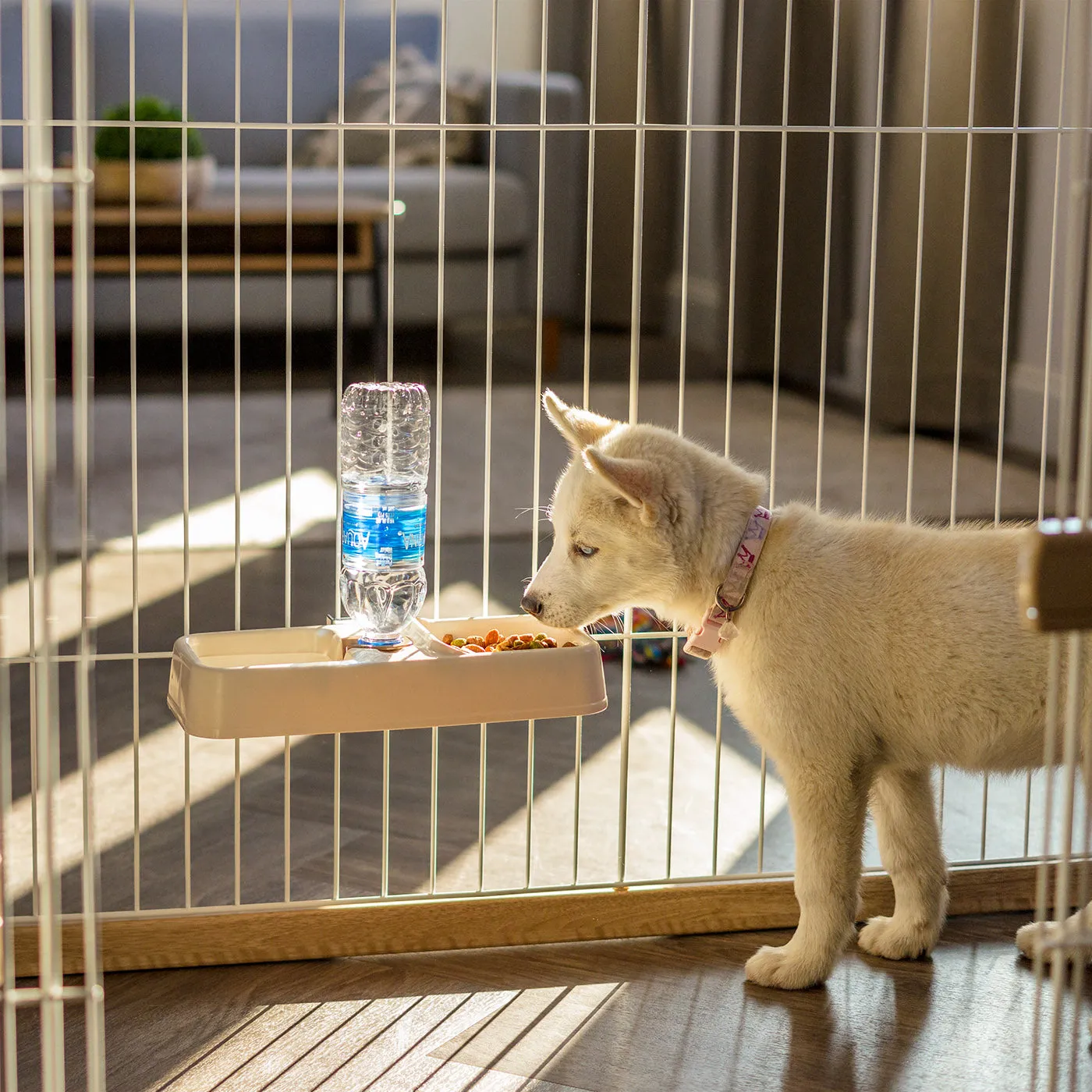 Pet Crate Water Feeder, Beige