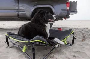 QUICK FOLD DOG BED WITH PADDED MAT