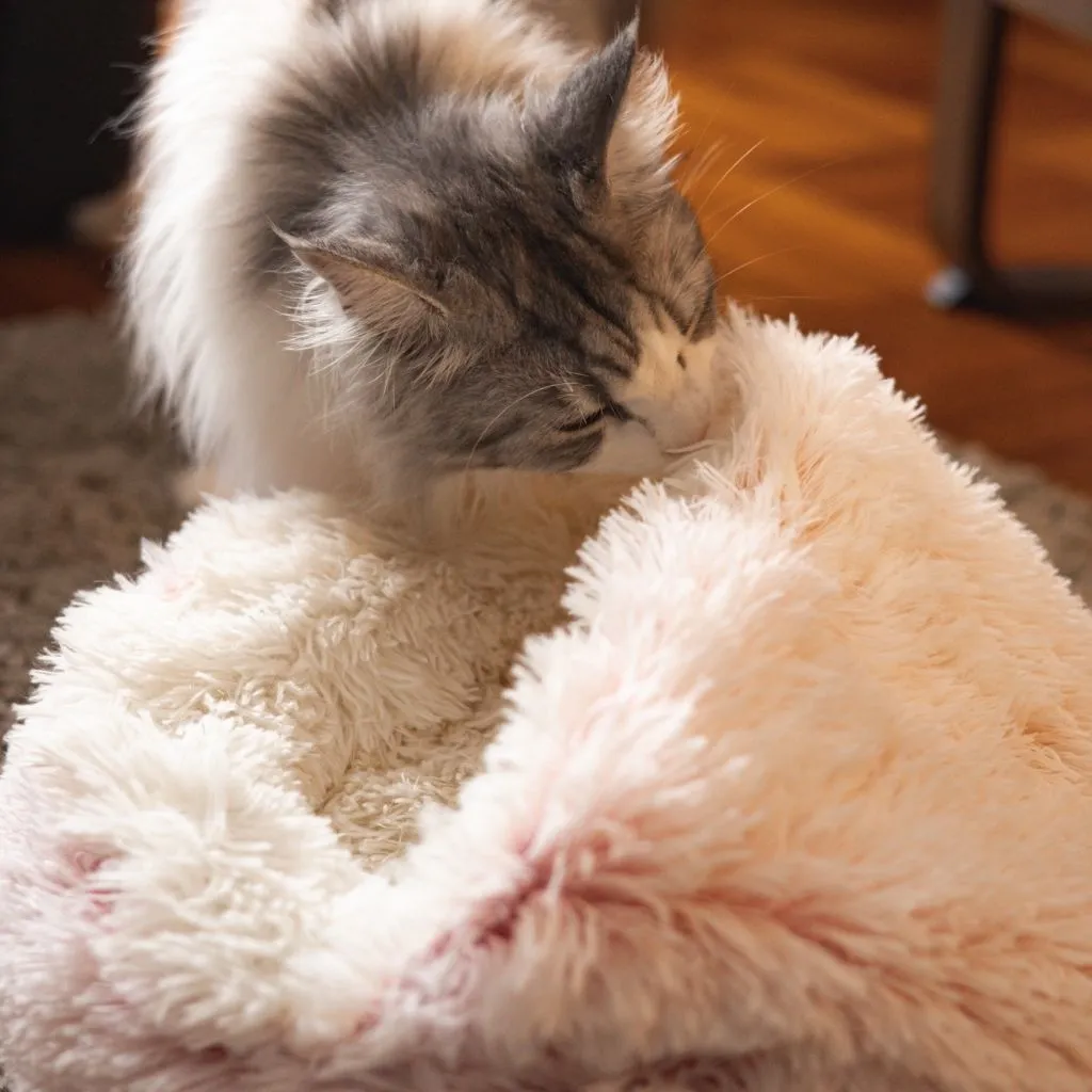 Soft Plush Pet Cave Bed for Small Cats & Dogs